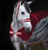 Horseware Airmesh Headcollar